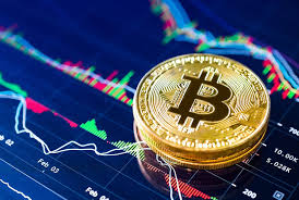 The Future of Wealth Trading Spot Crypto The Future of Wealth Trading Spot Crypto